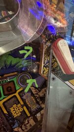 IMG_8305.jpeg