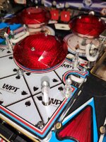 20230512_060229.jpg