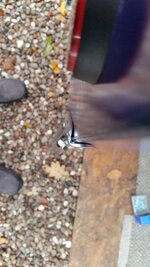 20151028_101545.jpg