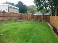View of where cabin will go.jpg