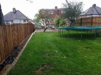 View of back to the house from cabin site.jpg