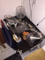 image.jpeg