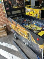 IMG_4025.jpeg