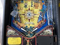 IMG_4029.jpeg
