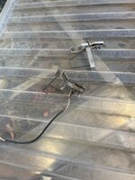 IMG_6950.jpeg