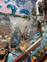 IMG_3481.jpeg