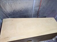 PXL_20230522_203852368.jpg