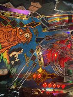 IMG_3701.jpeg