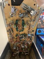 IMG_3677.jpeg