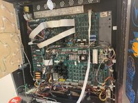 IMG_3680.jpeg