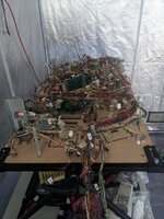 PXL_20230608_114128122.jpg