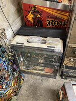 IMG_6237.jpeg