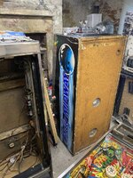 IMG_6239.jpeg