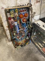 IMG_6236.jpeg