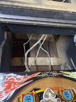 IMG_2328.jpeg