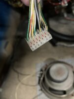 IMG_0962.jpeg