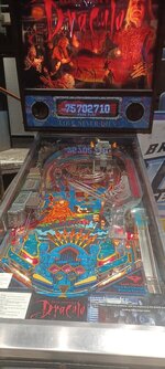 20230617_105219.jpeg