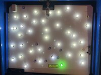 IMG_2349.jpeg