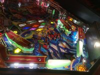 IMG_20230616_150532.jpg