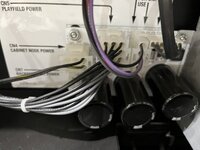 IMG_2966.jpeg