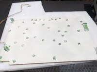 PXL_20230625_121733559.jpg