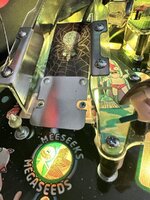 IMG_1440.jpeg