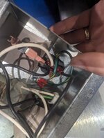 PXL_20230630_194909629.jpg