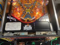 IMG_8384.jpeg