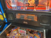 IMG_8382.jpeg