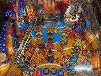 IMG_8375.jpeg