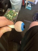 IMG_2560.jpeg