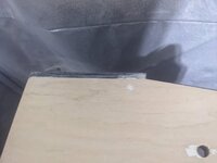 PXL_20230709_214622266.jpg