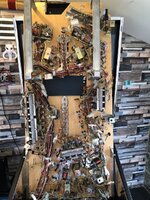 IMG_2043.jpeg