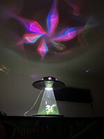 IMG_5488.jpeg