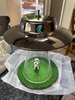 IMG_1338.jpeg