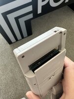 IMG_3031.jpeg