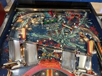 IMG_0503.jpeg