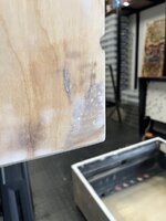 IMG_6775.jpeg