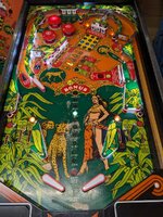PXL_20230703_195605089.jpg