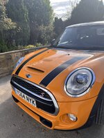 IMG_6795.jpeg