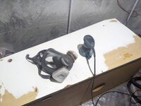 PXL_20230728_205805965.jpg