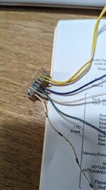 PXL_20230731_092716012.jpg