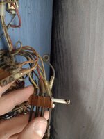 IMG_20230801_091743658.jpg