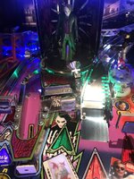 IMG_2961.jpg