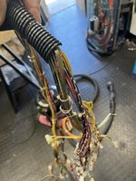 IMG_7383.jpeg