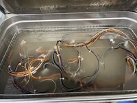 IMG_7389.jpeg