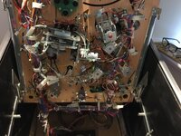 IMG_1955.jpeg
