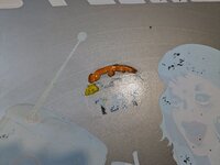 PXL_20230805_145308782.jpg
