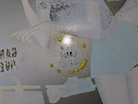 PXL_20230805_145312038.jpg