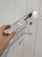 PXL_20230806_172230899.jpg